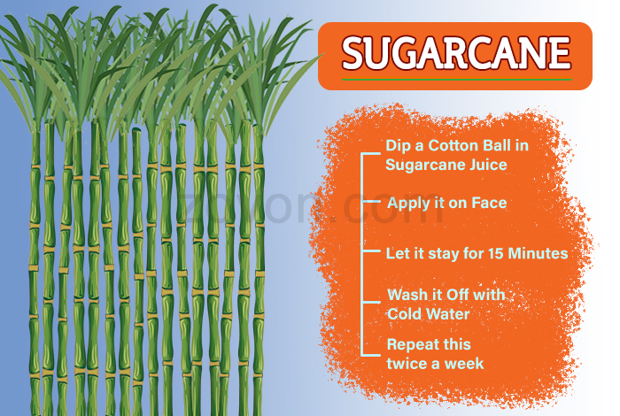 sugarcane for anti aging