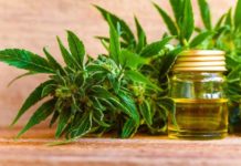 applications of cbd oil and its limitations