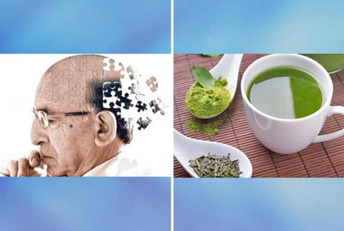 green tea may have cure for alzheimers heart disease and stroke