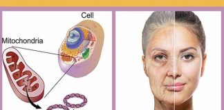 wrinkles and hair loss