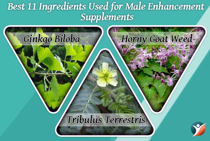 Top 11 Ingredients In Male Enhancement Supplements That Help