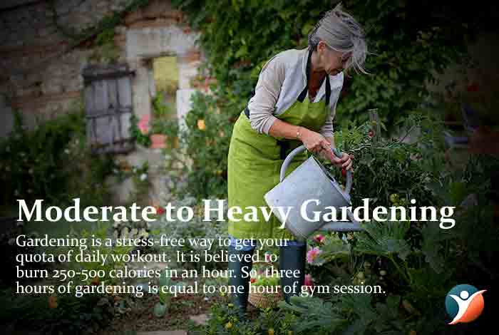 Gardening to control diabetes