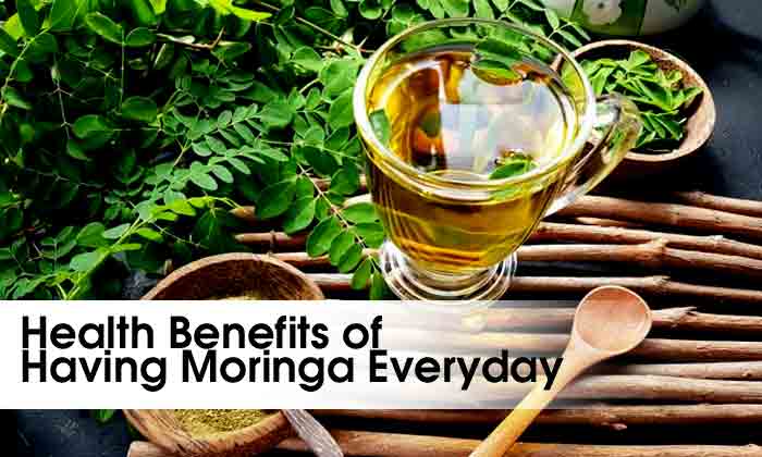 Health Benefits of Having Moringa Everyday