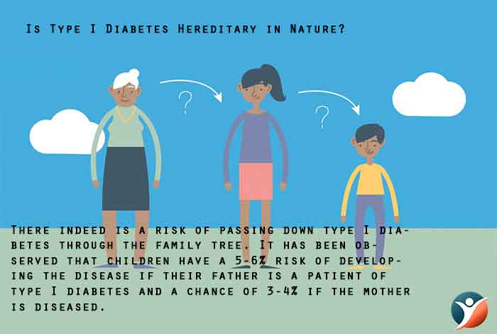  Is Type I Diabetes Hereditary in Nature?
