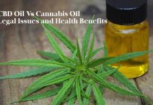 A Comprehensive Overview of CBD and Cannabis Oil
