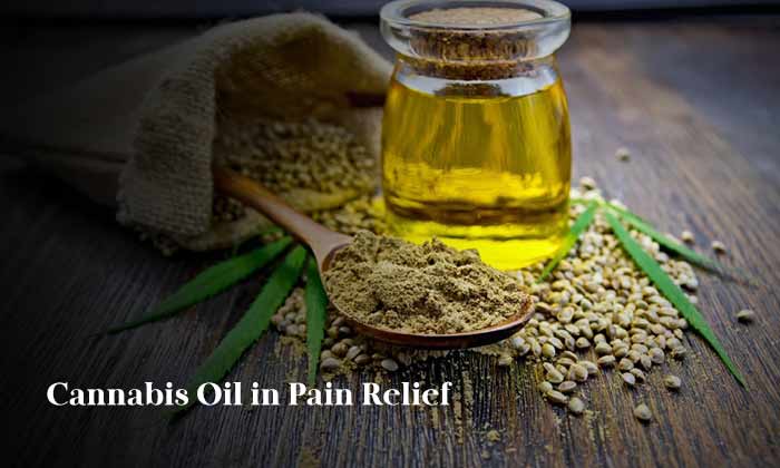Cannabis Oil in Pain Relief 