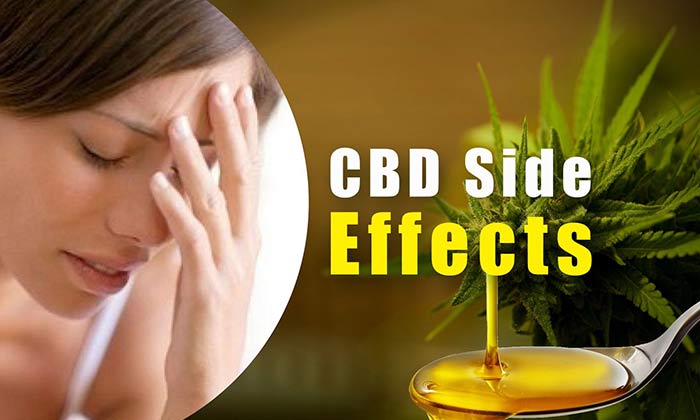 Side Effects of Cannabis Oil 