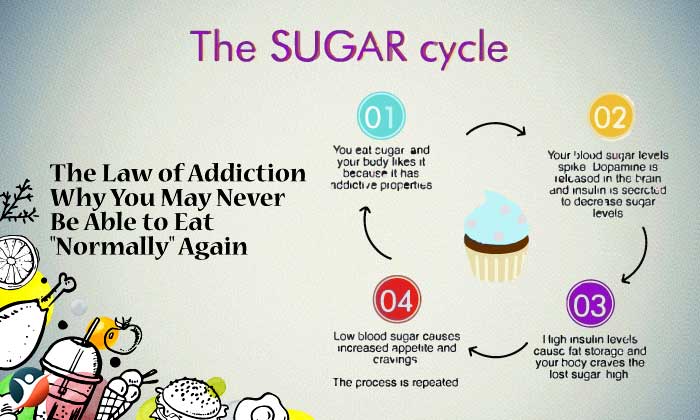 The Law of Addiction — Why You May Never Be Able to Eat "Normally" Again