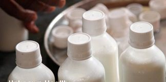 More About Camel's Milk- Your Dose of Strength and Beauty