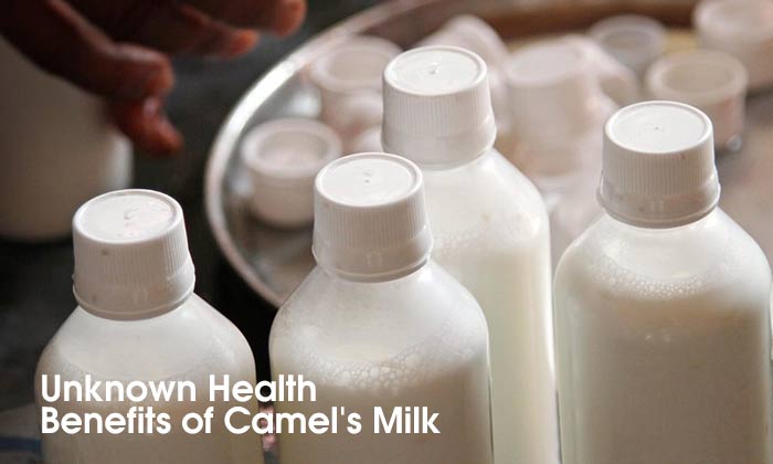 More About Camel's Milk- Your Dose of Strength and Beauty