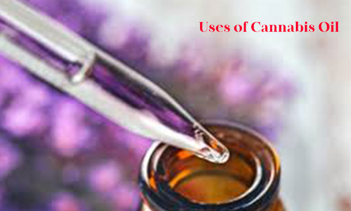 Uses of Cannabis Oil 