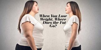 When You Lose Weight, Where Does the Fat Go?