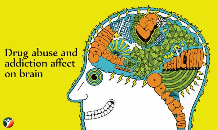 Drug abuse and addiction effect on brain