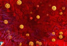 Coronavirus-myths-busted